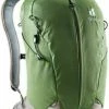 Deuter AC Lite 17 Pine/Pepper