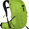 Osprey Talon 22 III Limon Green L/XL