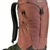 Deuter AC Lite 16 Red Wood/Ivy