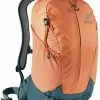 Deuter AC Lite 15 SL Sienna/Arctic