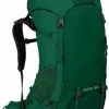 Osprey Rook 50 Mallard Green