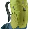Deuter AC Lite 24 Moss/Arctic